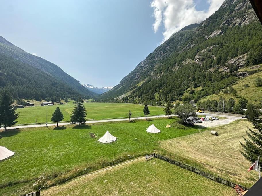 Majestic View Alpine Retreat * Tasch